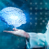 Adult Neurologist